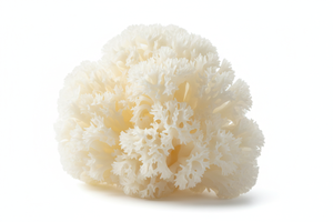 Tremella