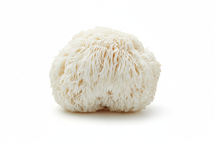 Lions Mane